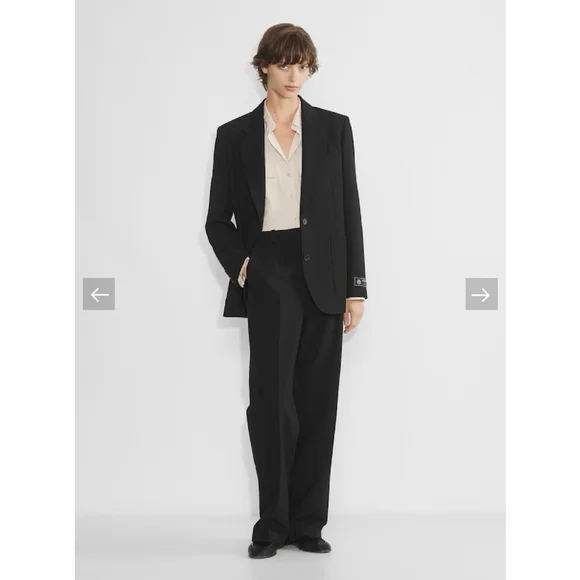 Aritzia Babaton Kleos Blazer Lined Single Breasted Notch Lapel SM Black Vented - Picture 1 of 12